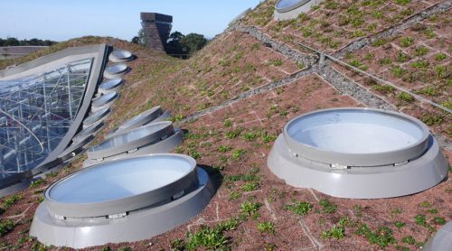 Academia_plantas_autoctonas_1