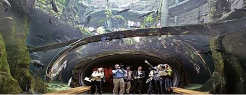 Academia_recorrido_acuario