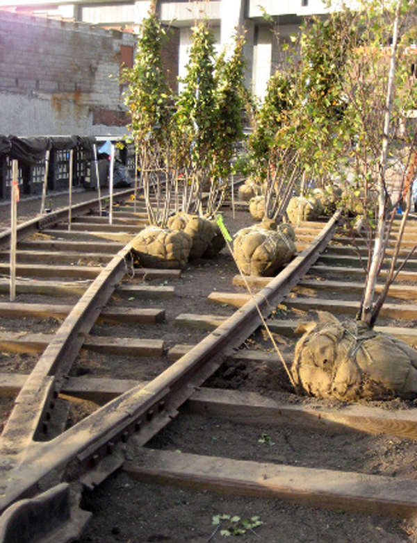 High_line_21