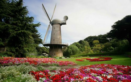 Dutch-Windmill-Golden-Gate-Park-15266104