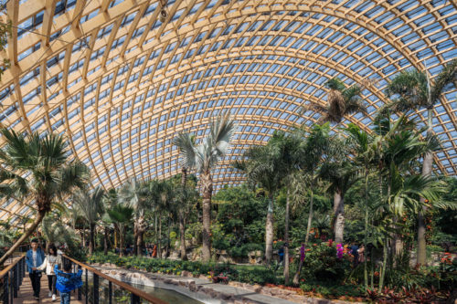 Jardín Botánico de Taiyuan – DMA Architects _011