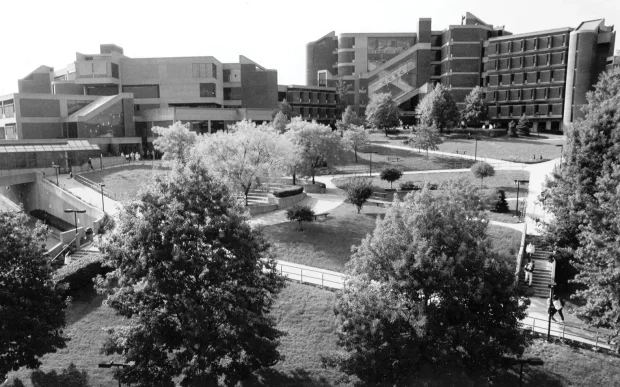 Colegio Comunitario del Condado de Allegheny